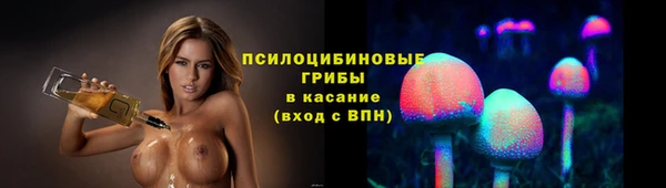 крисы Алексеевка