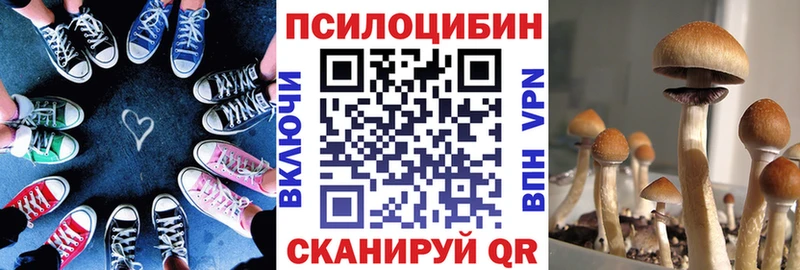 купить  сайты  Павлово  Псилоцибиновые грибы Magic Shrooms 